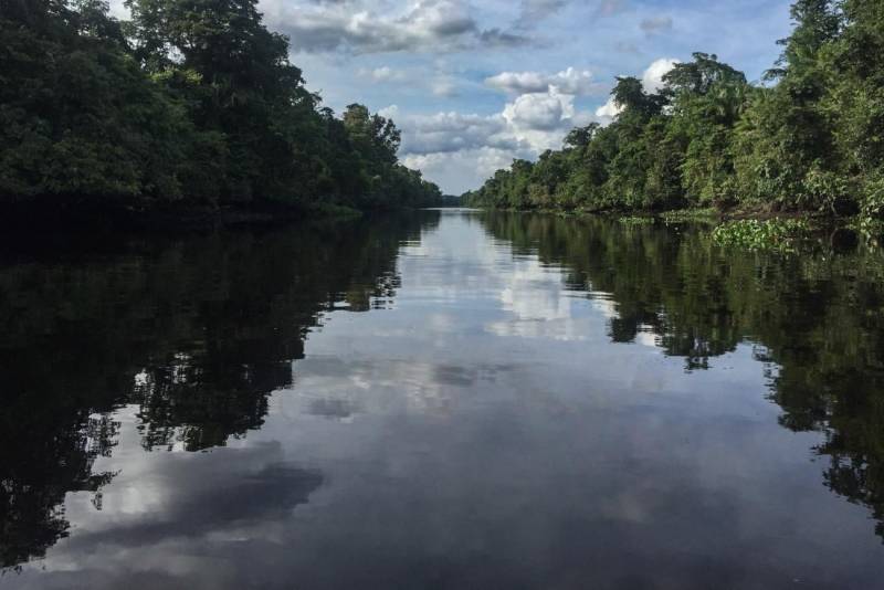 Crédito: Ascom Ideflor-Bio