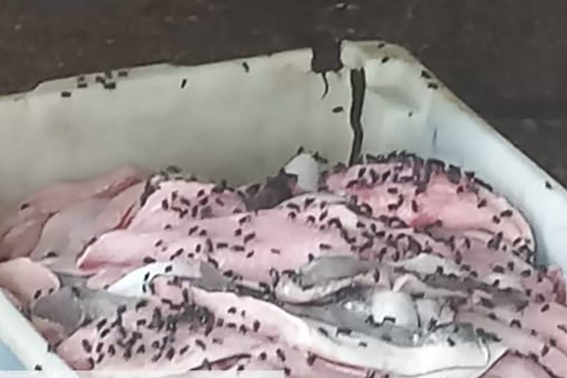 Crédito: Divulgação