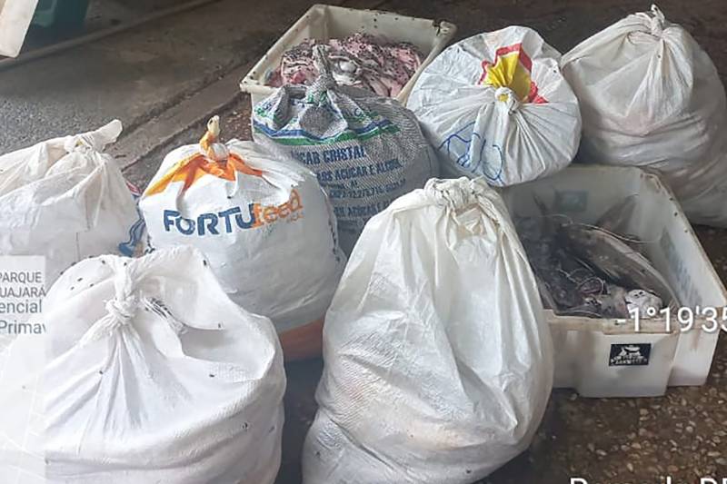 Crédito: Divulgação