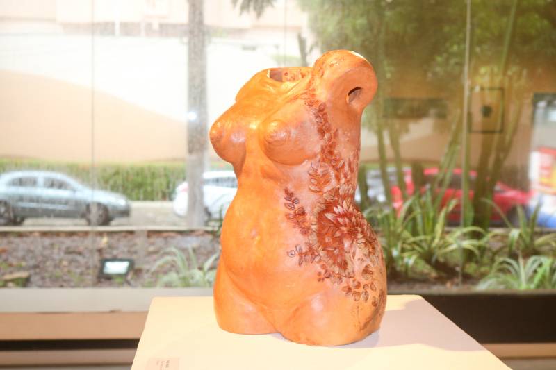 Crédito: Arthur Andrade/Ascom FCP