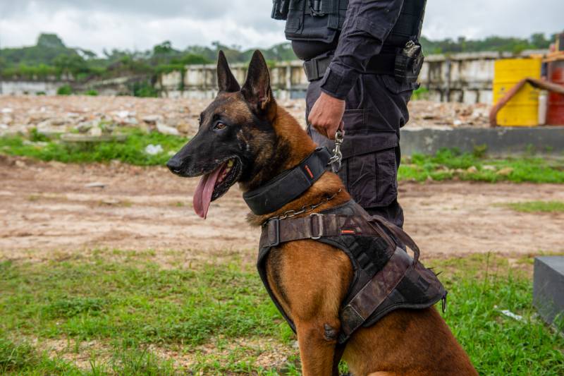 Crédito: Yasmin Cavalcante / NCS Seap Pará