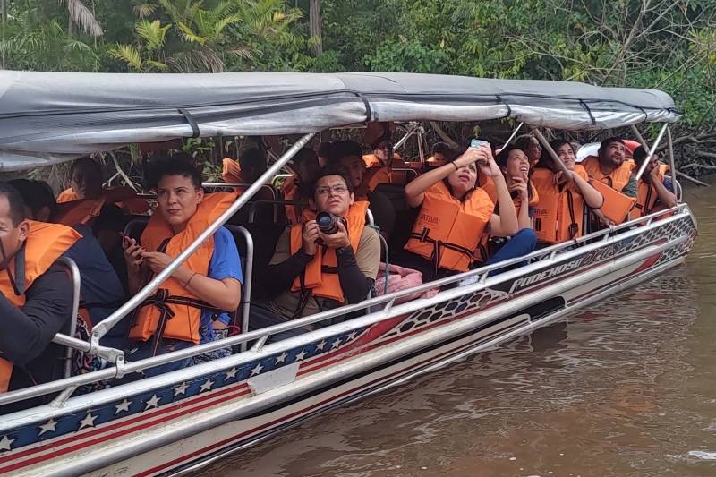 Crédito: GRB/IDEFLOR-Bio/Divulgação