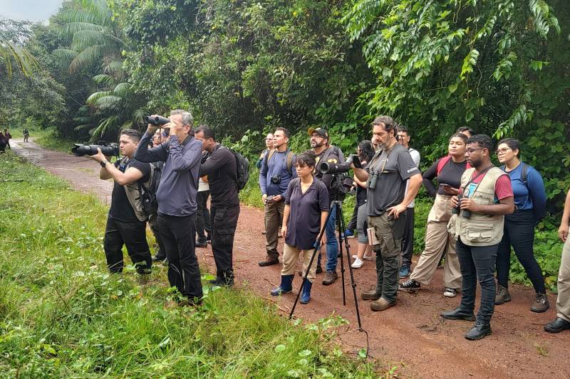Crédito: GRB/IDEFLOR-Bio/Divulgação
