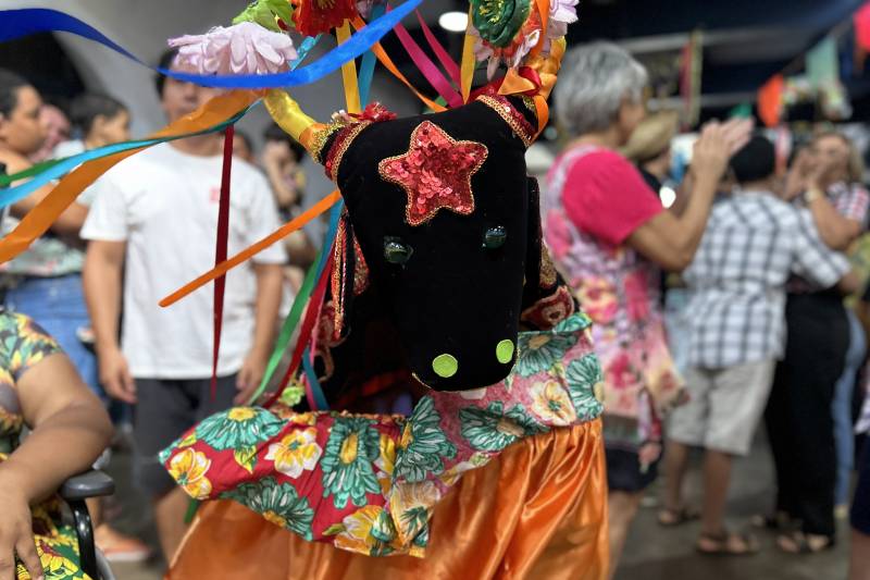 Crédito: Bianca Botelho (Ascom Sespa)