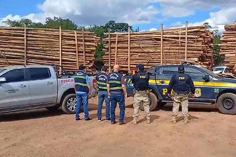 Crédito: Divulgação