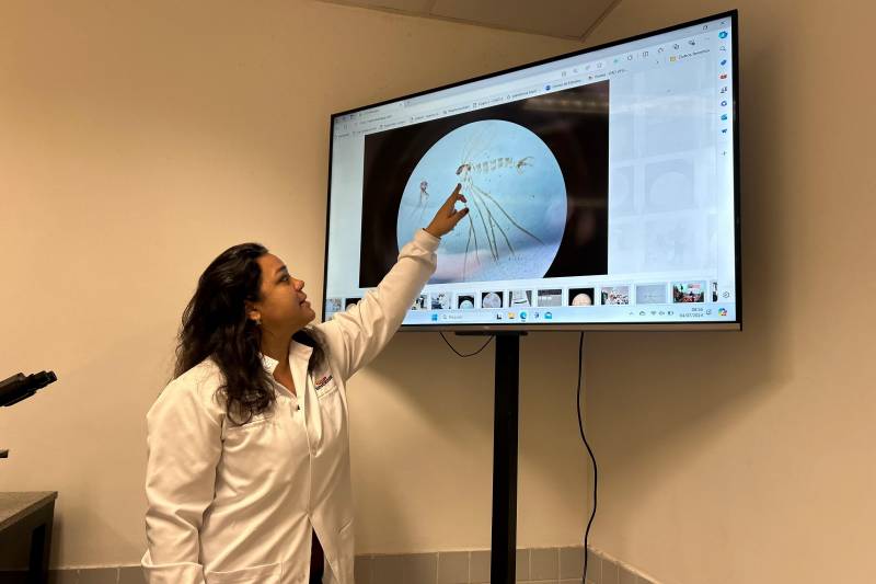 Crédito: Bianca Botelho/Ascom Sespa