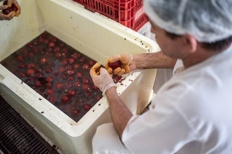 A bioeconomia é uma oportunidade para gerar renda em processos produtivos que conservam e estimulam a biodiversidade. 