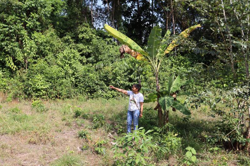 Crédito: Antônio Darwich - Ascom Semas