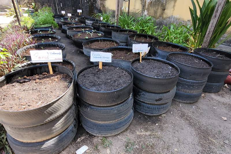 Crédito: Divulgação