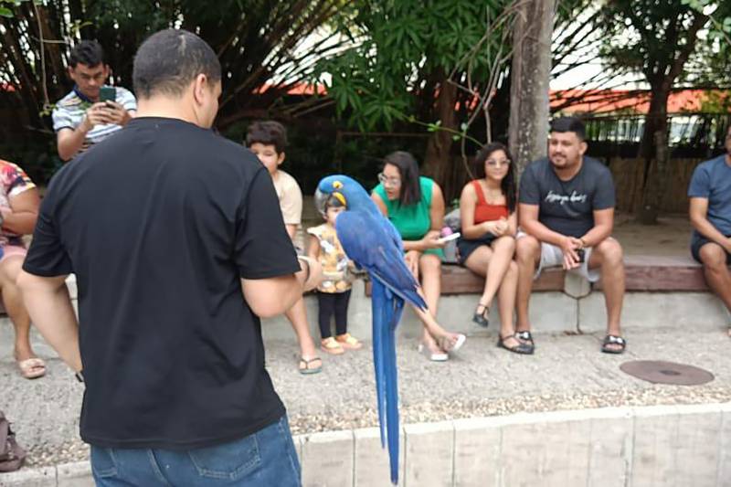 Crédito: Ascom/Pará 2000