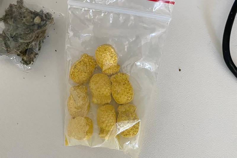 Crédito: Divulgação