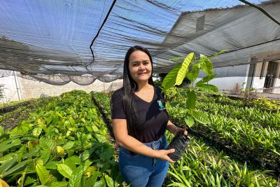 notícia: Sistemas Agroflorestais impulsionam produção agrícola em São Geraldo do Araguaia