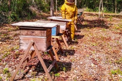 notícia: Emater planeja movimentar R$ 100 milhões de crédito rural em 2024