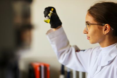 notícia: Estado aporta recursos na cadeia produtiva da bioeconomia para desenvolvimento