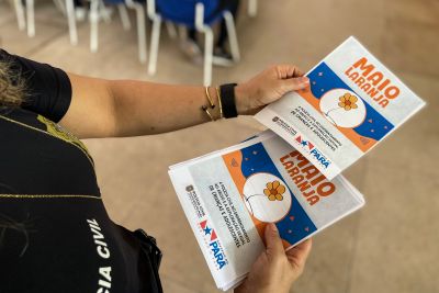 notícia: Polícia Civil integra ação nacional e intensifica enfrentamento à exploração sexual de crianças e adolescentes