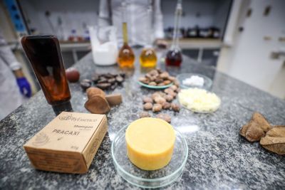 galeria: Pesquisa Bioeconomia - Laboratório de Recursos Naturais e Sustentabilidade da Amazônia e do projeto apoiado pela Fapespa