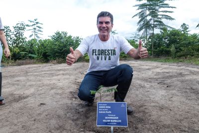 notícia: Governo participa do plantio da muda de nº 3 milhões em fazenda de remoção de carbono em Mãe do Rio