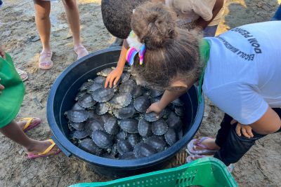 galeria: Soltura de 3 mil quelônios no rio Araguaia marcam programação pelo “Junho Verde” no sudeste paraense