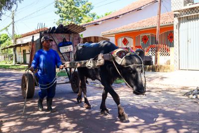 galeria: Agenda Vice Governadora em Soure Marajó( imagens de apoio) - Fotos Bruno Cecim