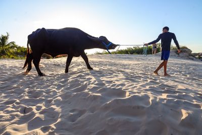 galeria: Soure Marajó - Fotos Bruno Cecim Ag Pará