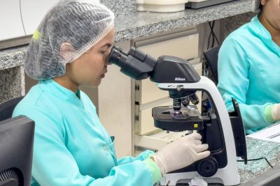 notícia: Sespa vai implantar sistema de notificação de medicamentos antifúngicos