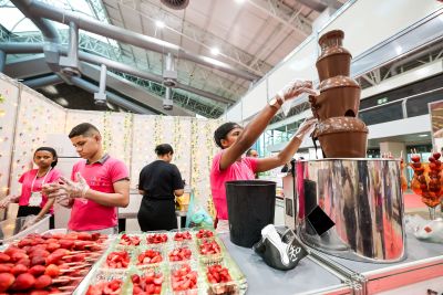notícia: Pará vai sediar feira sobre cacau sustentável e flores amazônicas 