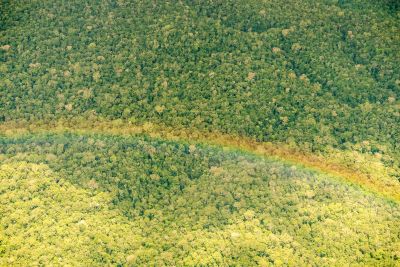 notícia: Justiça Federal nega pedido de suspensão de contrato de captação de recursos de REDD+ no Pará