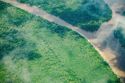 notícia: Pará registra queda de 74% dos focos de queimadas em julho de 2025