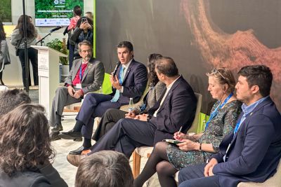 notícia: Governador do Pará discute mecanismos de financiamento para o meio ambiente em painel na COP 29