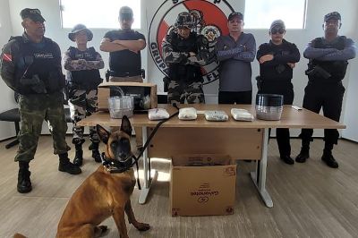 notícia: Com destino a Belém, ação policial apreende mais de R$ 40 mil em drogas dentro de embarcação no Marajó