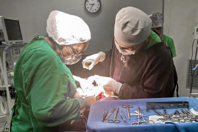 notícia: Com mais de 250 partos em 2023, Hospital de Castelo dos Sonhos se consolida como referência em obstetrícia, em Altamira