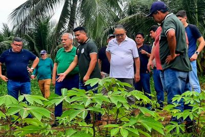 notícia: Sedap divulga e reforça, em propriedades de Vigia, a importância do Programa Territórios Sustentáveis