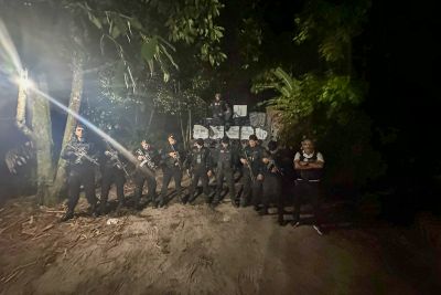 notícia: Forças de segurança do Estado apreendem carga de cigarros contrabandeados em Benevides