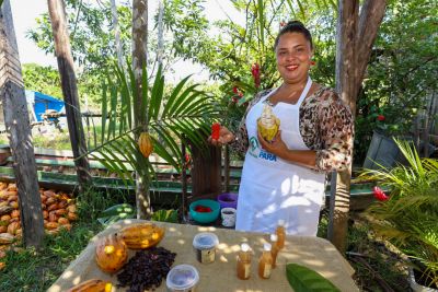 notícia: Governo do Estado fortalece mecanismos de acesso ao crédito para bioeconomia no Pará