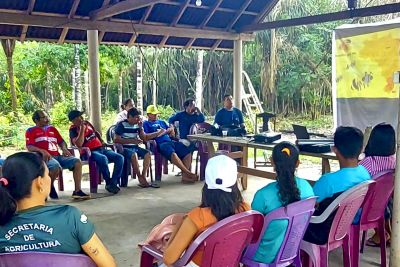 notícia: Sedap e Adepará têm ação de cadastramento de criadores de abelhas em Viseu