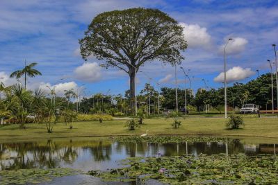 notícia: Parque Estadual do Utinga é opção de lazer durante o feriadão de Carnaval