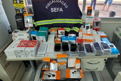 notícia: Em Conceição do Araguaia, Sefa apreende celulares e acessórios em carga de pescado