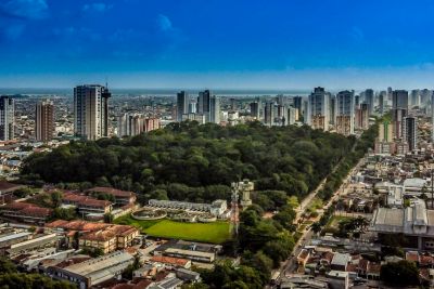 notícia: 'Bosques Municipais' começam a ser criados após governador sancionar nova legislação ambiental