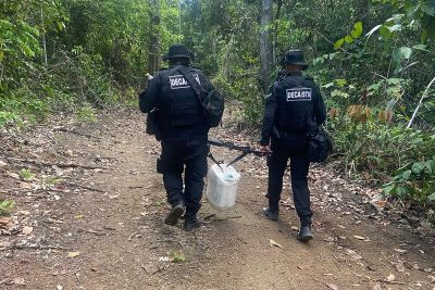 notícia: Polícia Civil apreende veículos durante 3ª fase da operação 'Ouro Negro', em Alenquer