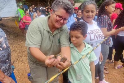 notícia: No Pará, mulheres fazem a diferença em ações de desenvolvimento sustentável e na preservação do meio ambiente