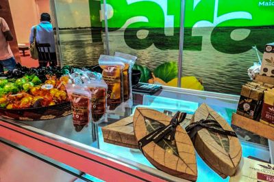 notícia: Governo do Estado apóia participação de produtores do Pará no Festival Internacional de Salvador