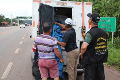 notícia: Adepará começa fiscalização para cumprir decreto estadual que proíbe saída de pescado