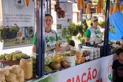 notícia: Emater apoia agricultores de Redenção com ações de assistência técnica