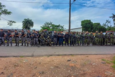 notícia: Operação integrada em combate ao crime organizado apreende armas em Ananindeua 