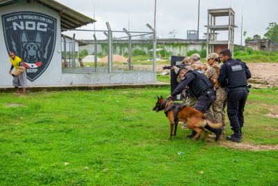 notícia: Núcleo de Operações com Cães da Seap auxiliam na segurança do sistema prisional