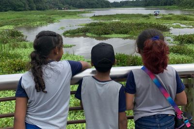 notícia: Alunos da rede pública estadual conhecem a biodiversidade do Parque do Utinga