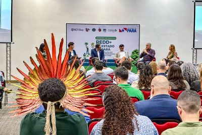 notícia: Seminário em Belém reforça construção coletiva do sistema de REDD+ no Pará