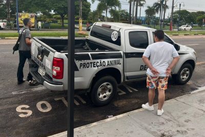 notícia: Polícia Civil prende em flagrante falso médico veterinário em Castanhal