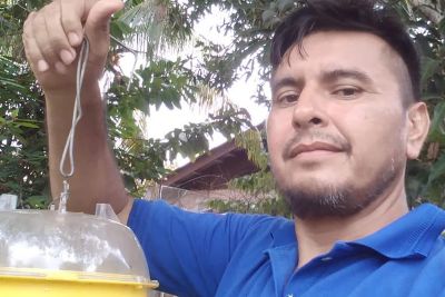 notícia: ADEPARÁ comemora eficácia das ações de contenção da mosca-da-carambola no Pará