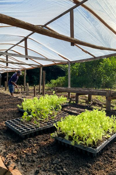 Crédito: Divulgação